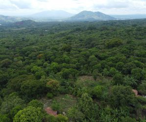 El desafío de ser sostenibles en el sector logístico en El Salvador