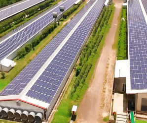 Grupo Campestre recibe la certificación bajo Ley de Fomento a la Expansión de Inversiones y anuncia inversión de $82 millones